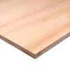 Plywood Hardwood EN636-2S Class 3 12 X 1220 X 2440mm