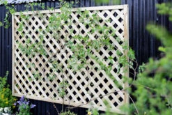 Grange Elite Square (4ft) Lattice Panel Green PEFC 1800 X 1200 X 40mm (ELTSQL4) -Howarth Timber Shop ELTSQL420Lifestyle20Image.jpg 42756.1755760965