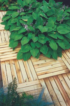 Forest Garden Ridged Deck Tile 500 X 500 X 32mm (4 Pack)