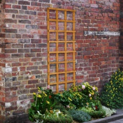 Forest Garden Trellis Heavy Duty 1830 X 610mm (5 Pack) 2 Forest Garden Trellis Heavy Duty 1830 X 610mm (5 Pack) -Howarth Timber Shop FT62 1.jpg 07671.1755762927
