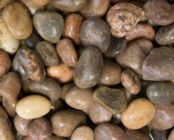 Scottish Pebbles 50-80mm Bulk Bag