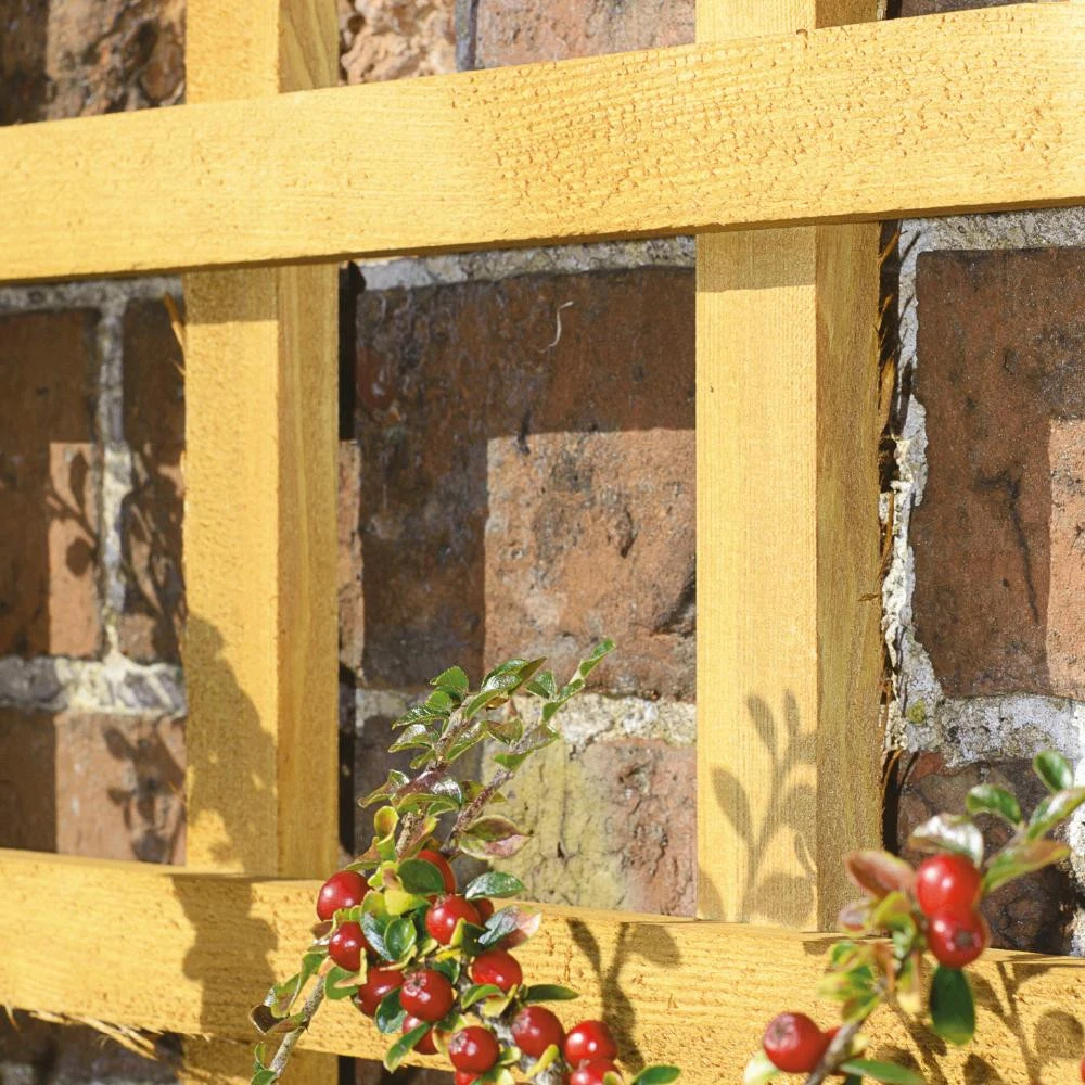Grange Trellis Heavy Duty Square Trellis Green PEFC 610 x 1828 x 30mm (HDT2G) Grange Trellis Heavy Duty Square Trellis Green PEFC 610 X 1828 X 30mm (HDT2G) -Howarth Timber Shop TrellisDetailGreen sort2.jpg 38445.1755768539